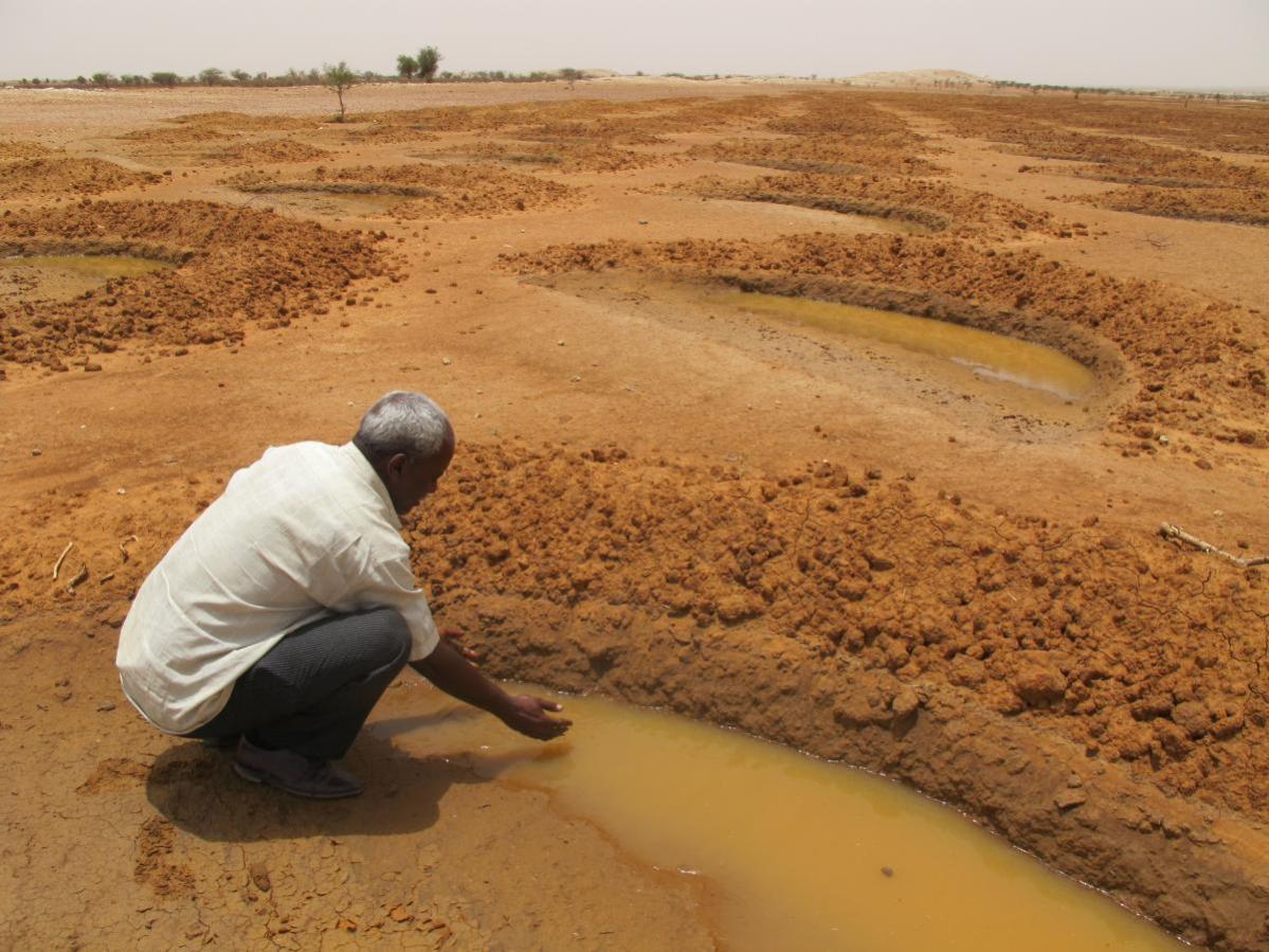 causas-cambio-climatico
